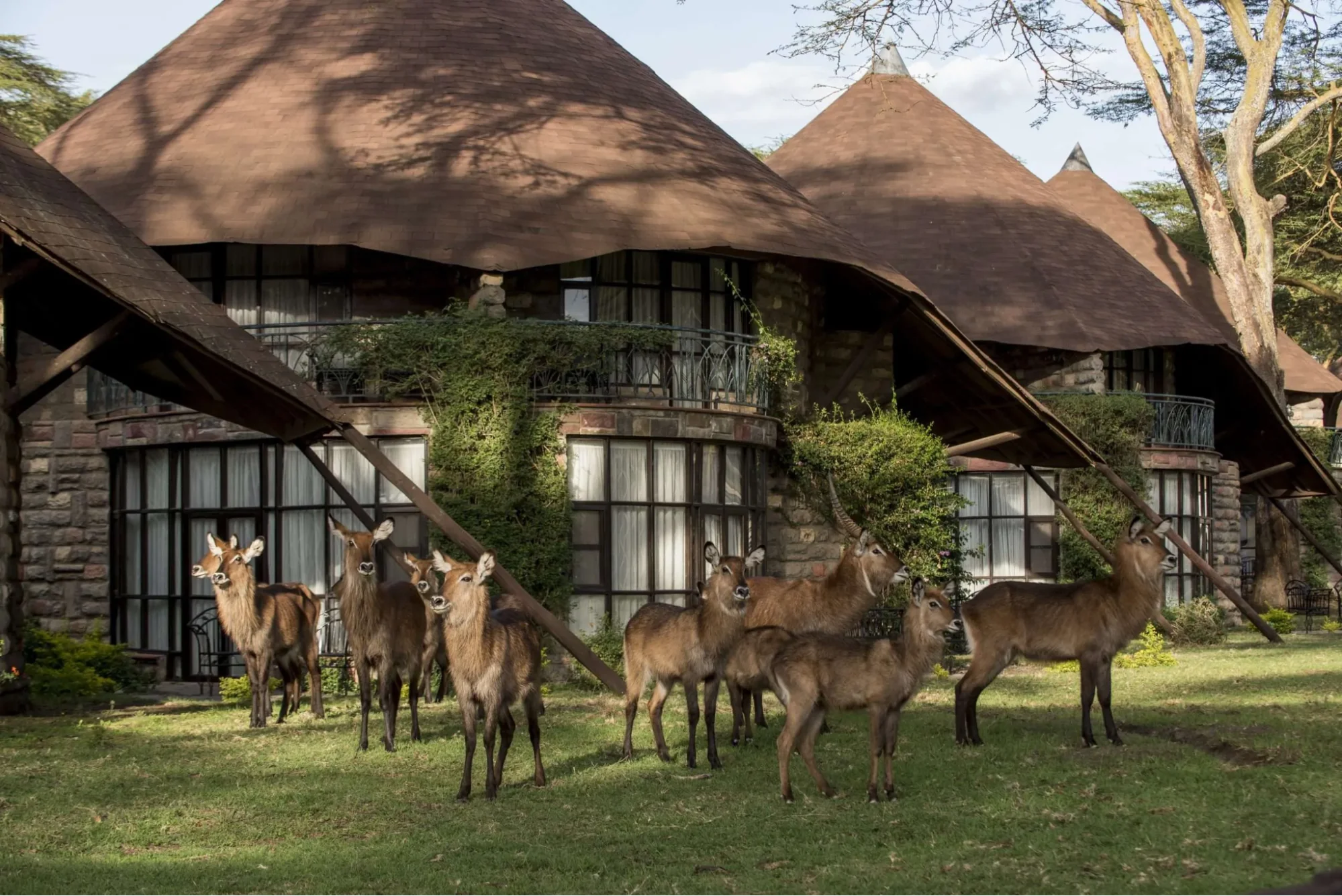 Naivasha