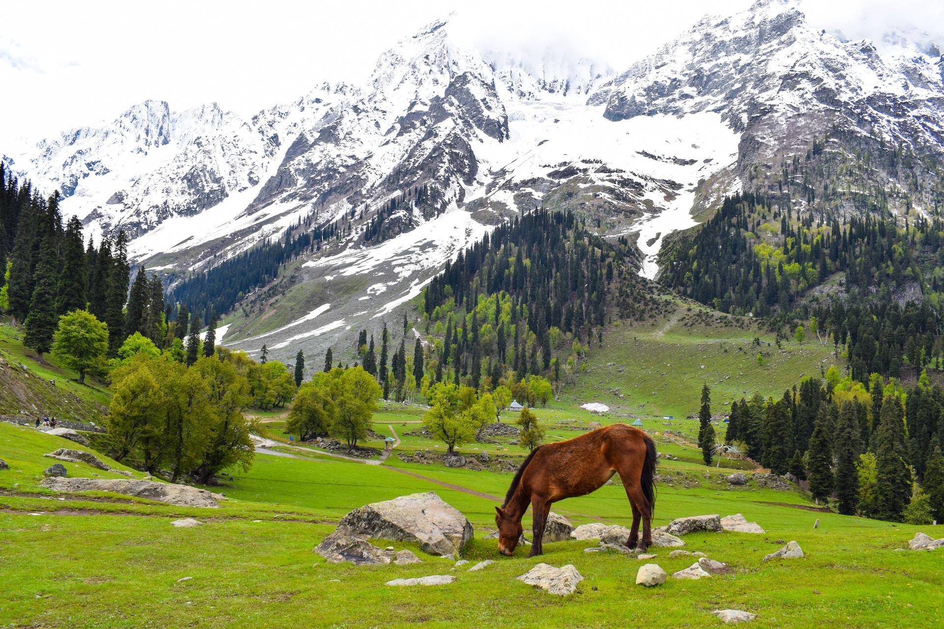 Kashmir Tour 6 Nights / 7 Days