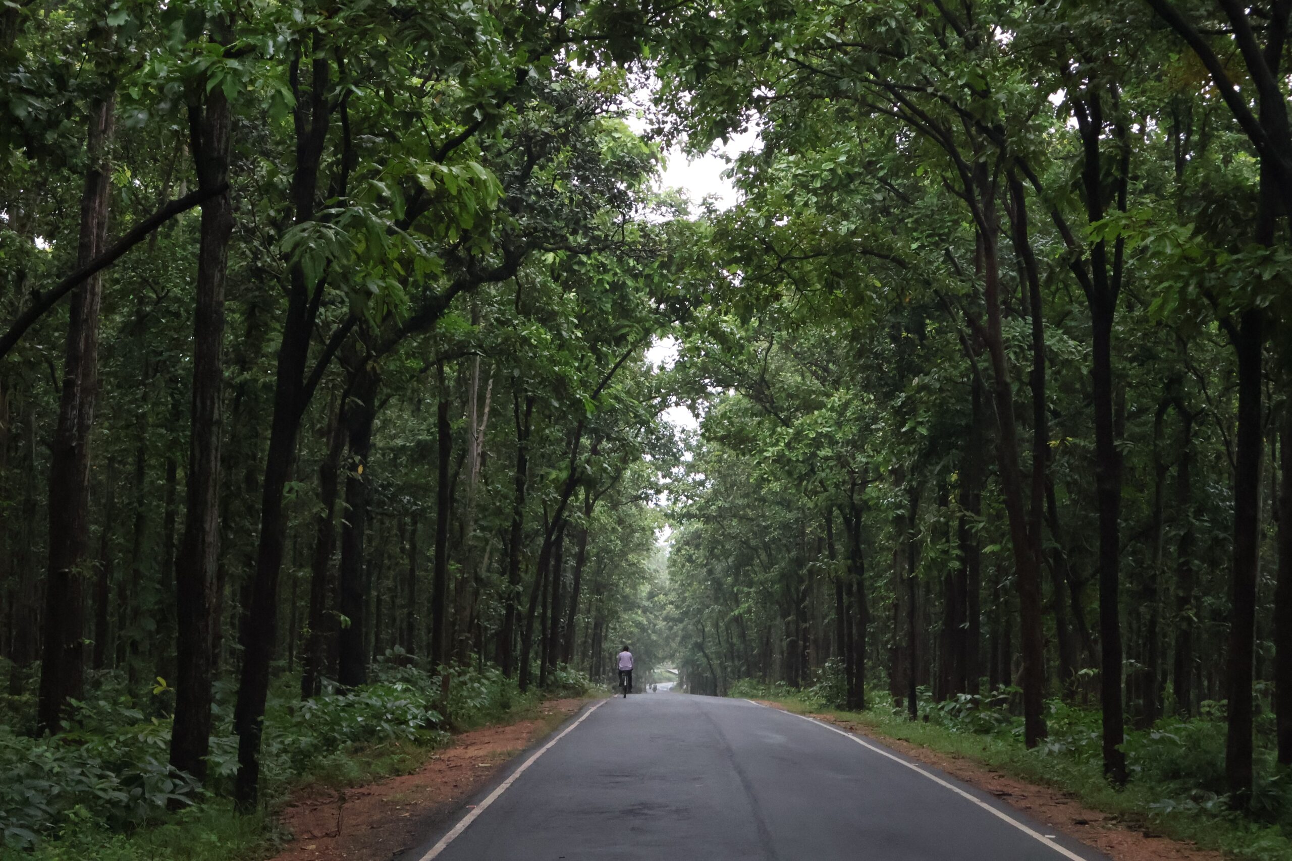 Daringbadi